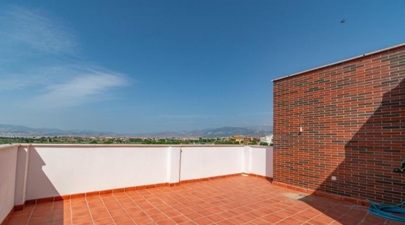 Granada - Alhendín - 444m2