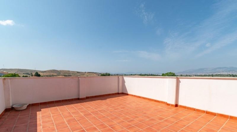 Granada - Alhendín - 444m2