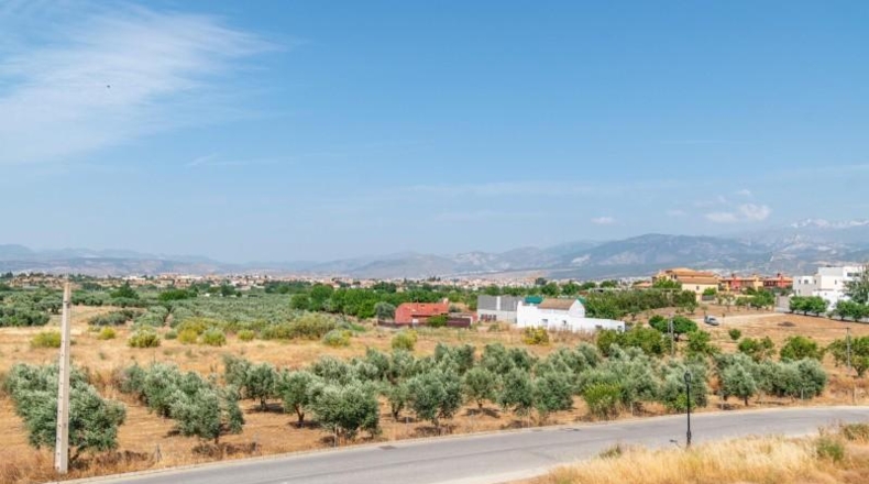 Granada - Alhendín - 444m2