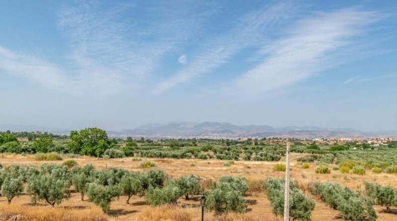 Granada - Alhendín - 444m2