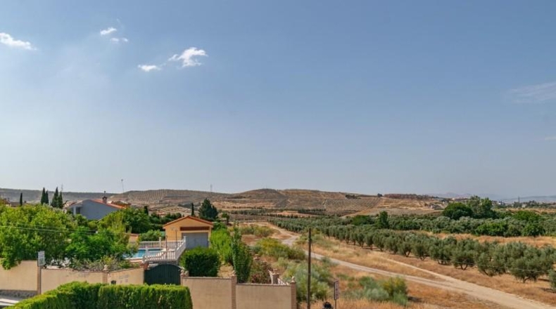 Granada - Alhendín - 444m2