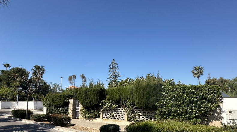 Castellon - Castellón de la Plana - 842m2