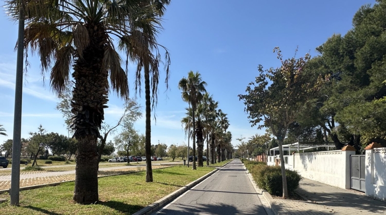 Castellon - Castellón de la Plana - 842m2