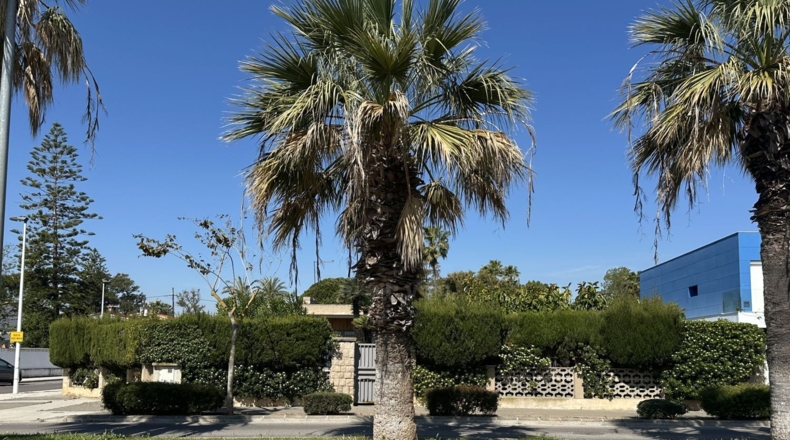 Castellon - Castellón de la Plana - 842m2
