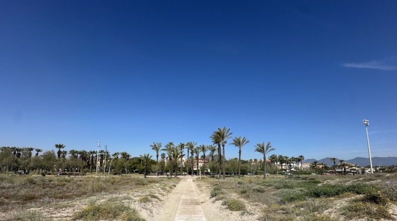 Castellon - Castellón de la Plana - 842m2
