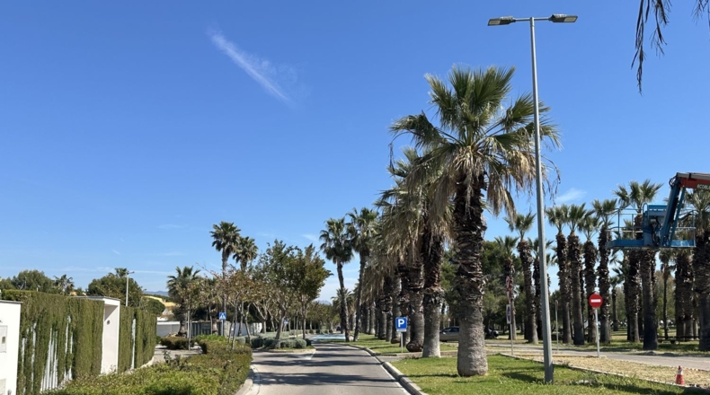 Castellon - Castellón de la Plana - 842m2