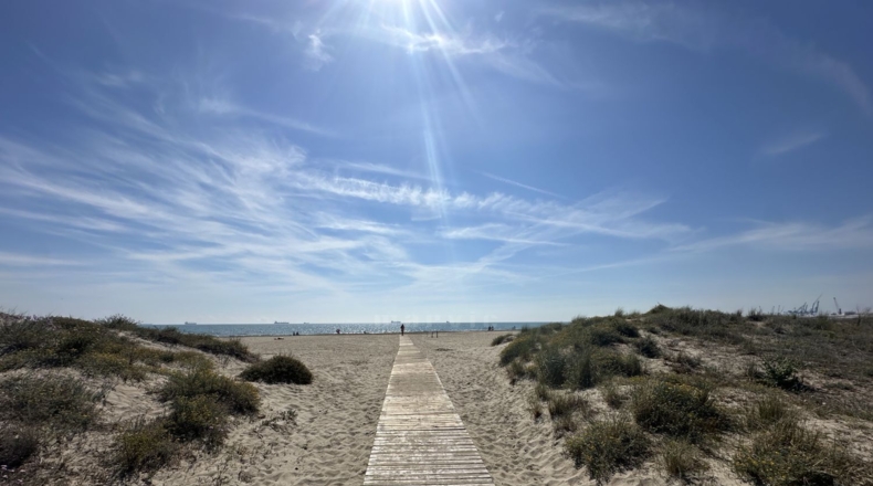 Castellon - Castellón de la Plana - 842m2