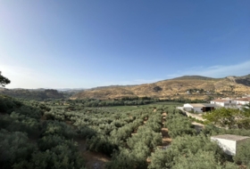 Loja 432&nbsp;m²