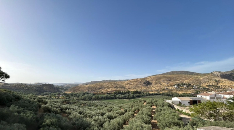 Granada - Loja - 432m2