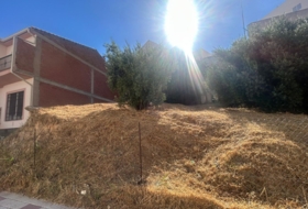 Loja 202&nbsp;m²