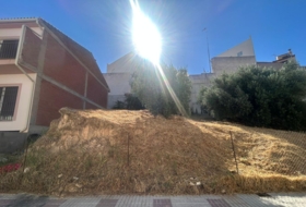 Loja 202&nbsp;m²