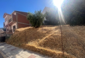 Loja 202&nbsp;m²