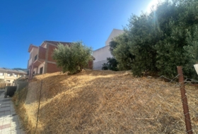 Loja 202&nbsp;m²