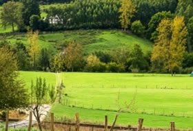 Ramales de la Victoria 2502&nbsp;m²