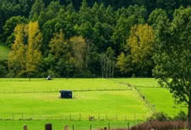 Ramales de la Victoria 2502&nbsp;m²