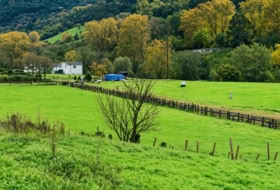 Ramales de la Victoria 2502&nbsp;m²