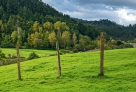 Ramales de la Victoria 2502&nbsp;m²