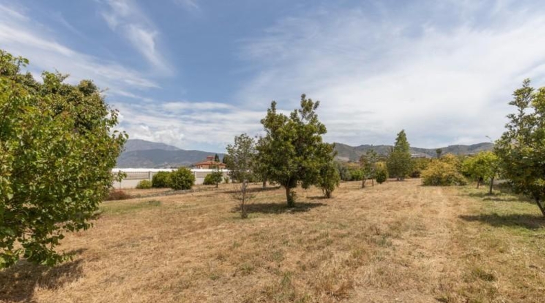 Granada - Motril - 5100m2