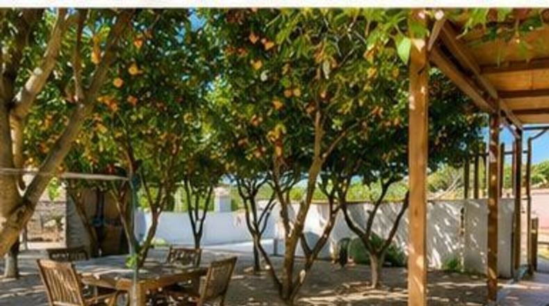 Islas Baleares - Campanet - 3000m2