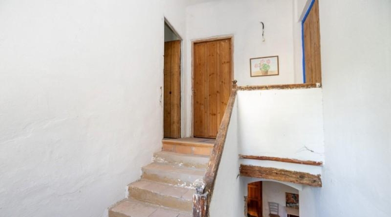Granada - Granada - 29000m2