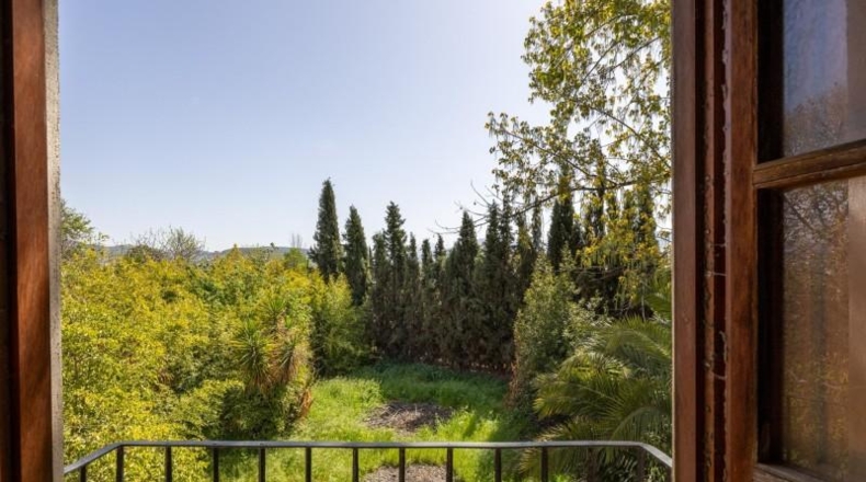 Granada - Granada - 29000m2