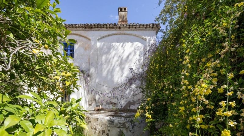 Granada - Granada - 29000m2