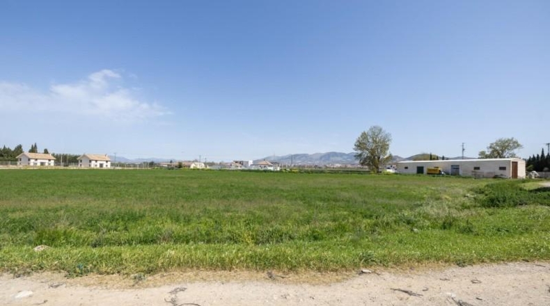 Granada - Granada - 29000m2