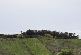 Manilva 45000&nbsp;m²