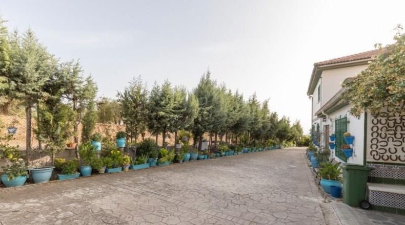 Granada - Alfacar - 6000m2