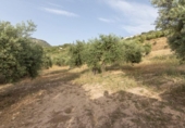 Finca rústica en venta en la España, Alfacar, ref: TR364573 foto