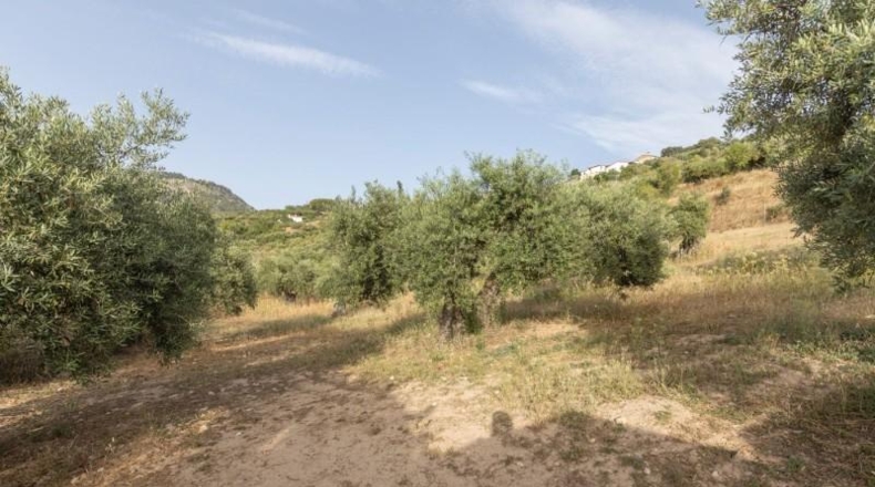 Granada - Alfacar - 6000m2