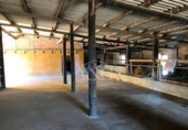 Chalet independiente con terreno en venta en la España, Palafrugell, ref: TR171022 foto