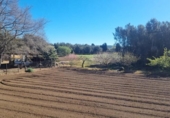 Chalet independiente con terreno en venta en la España, Palafrugell, ref: TR171022 foto