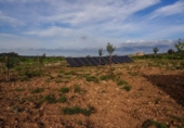 Country house with land for sale on España, Sineu, ref: TR401395 photo