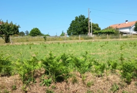 Miñovedro 1800&nbsp;m²