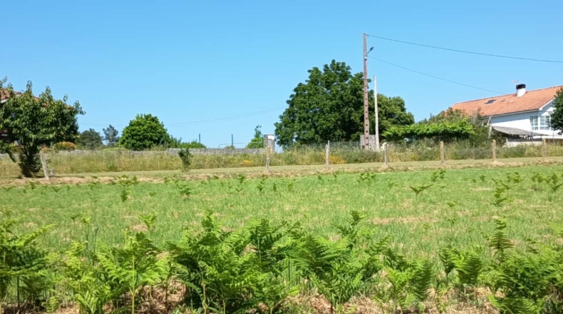 La Coruña - Miñovedro - 1800m2