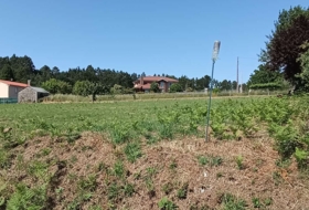 Miñovedro 1800&nbsp;m²