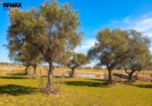Parcela urbanizable en venta en la España, Montánchez, ref: TR391230 foto