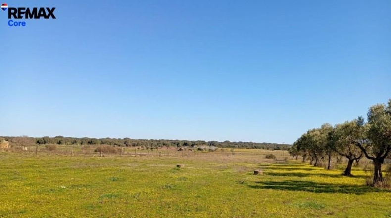 Cáceres - Montánchez - 13000m2
