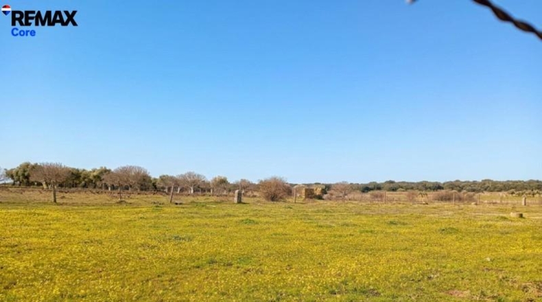 Cáceres - Montánchez - 13000m2