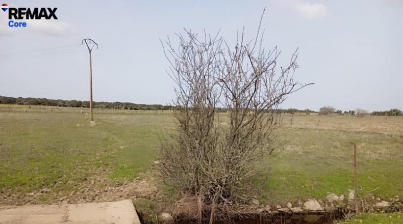 Cáceres - Montánchez - 13000m2
