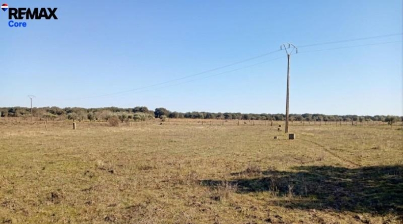 Cáceres - Montánchez - 13000m2