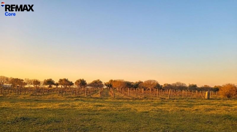 Cáceres - Montánchez - 13000m2