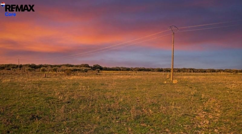 Cáceres - Montánchez - 13000m2