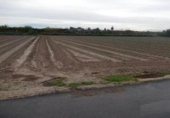 Terreny no urbanitzable en venda a la España, Molina de Segura, ref.: TR414352 foto