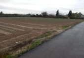 Terreny no urbanitzable en venda a la España, Molina de Segura, ref.: TR414352 foto