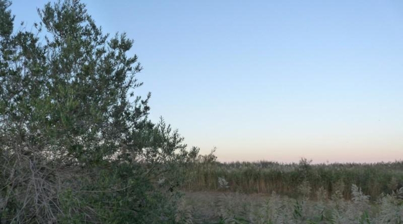 Аликанте - Pego - 8900m2