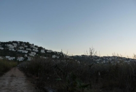 Foto 9