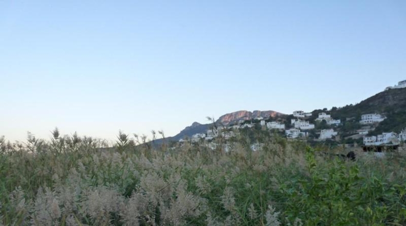 Аликанте - Pego - 8900m2