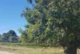 Montserrat 14127&nbsp;m²